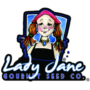 lady jane