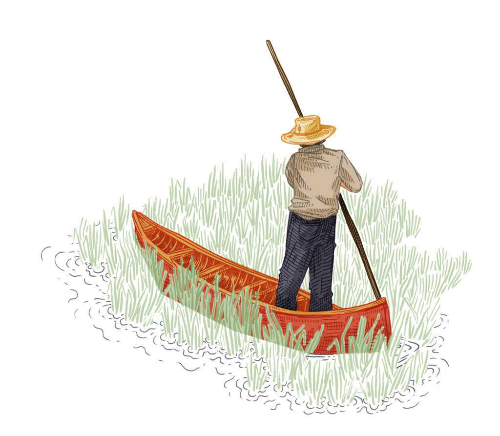 An illustrated drawing of a wild rice harvester Larry Gates
