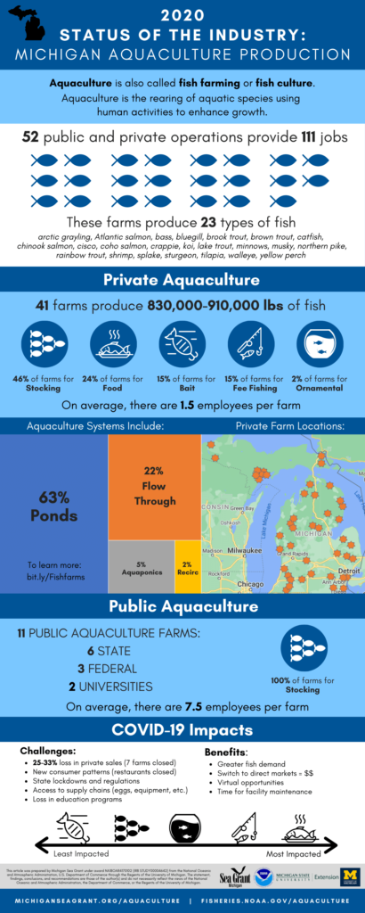 Infographic on Michigan seafood industry in 2020 from the Michigan Sea Grant 